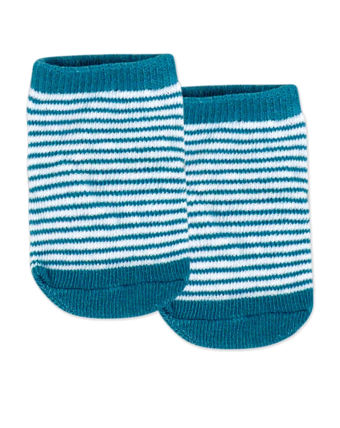 5 Piece Dino Gift Set