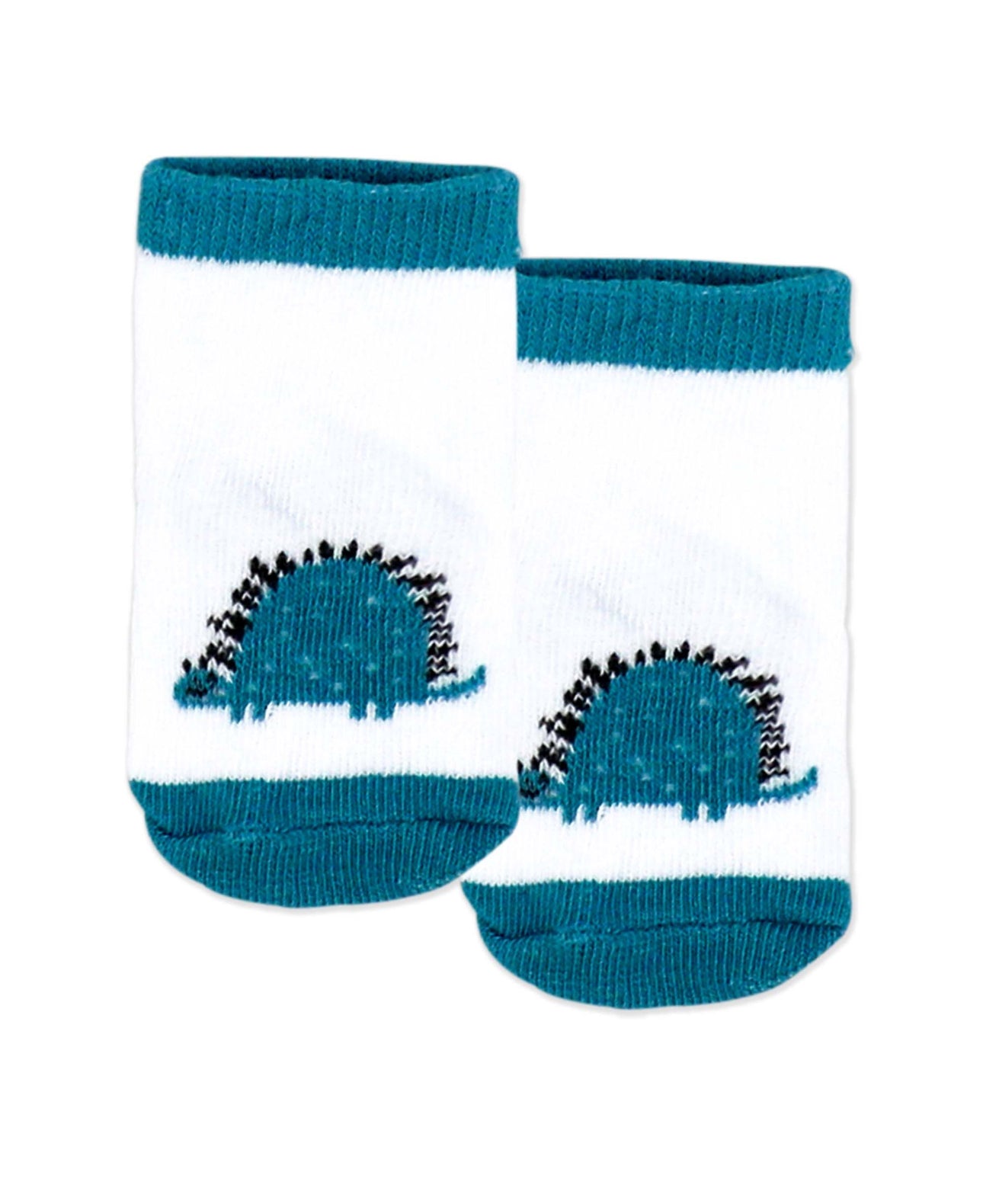 5 Piece Dino Gift Set