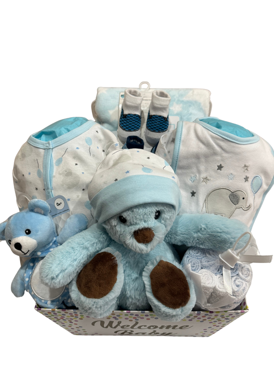 Welcome to the World Baby Boy (3-6M)