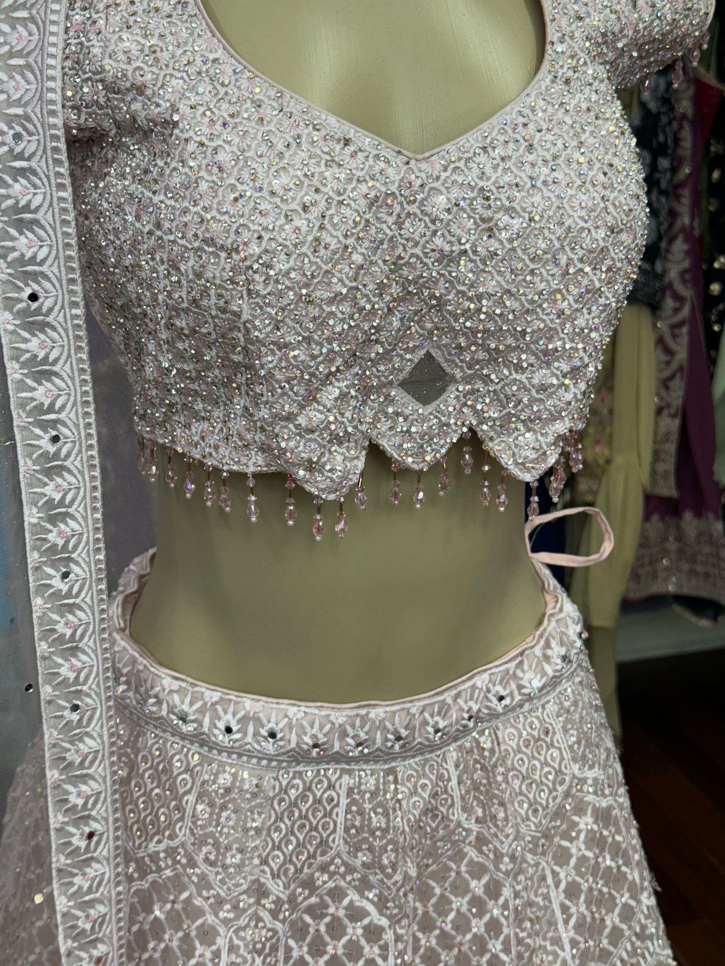 Embellished Baby Pink Lehenga