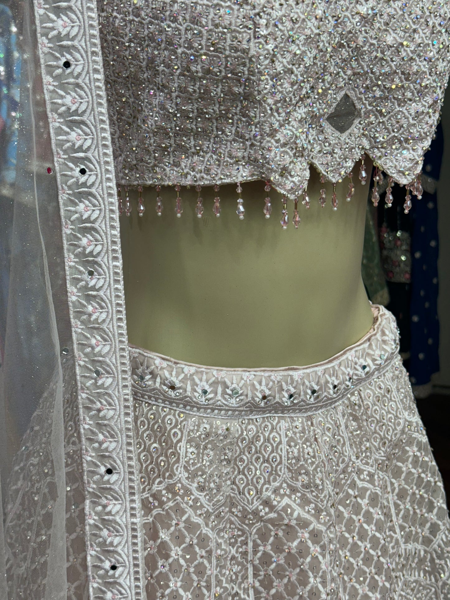 Embellished Baby Pink Lehenga