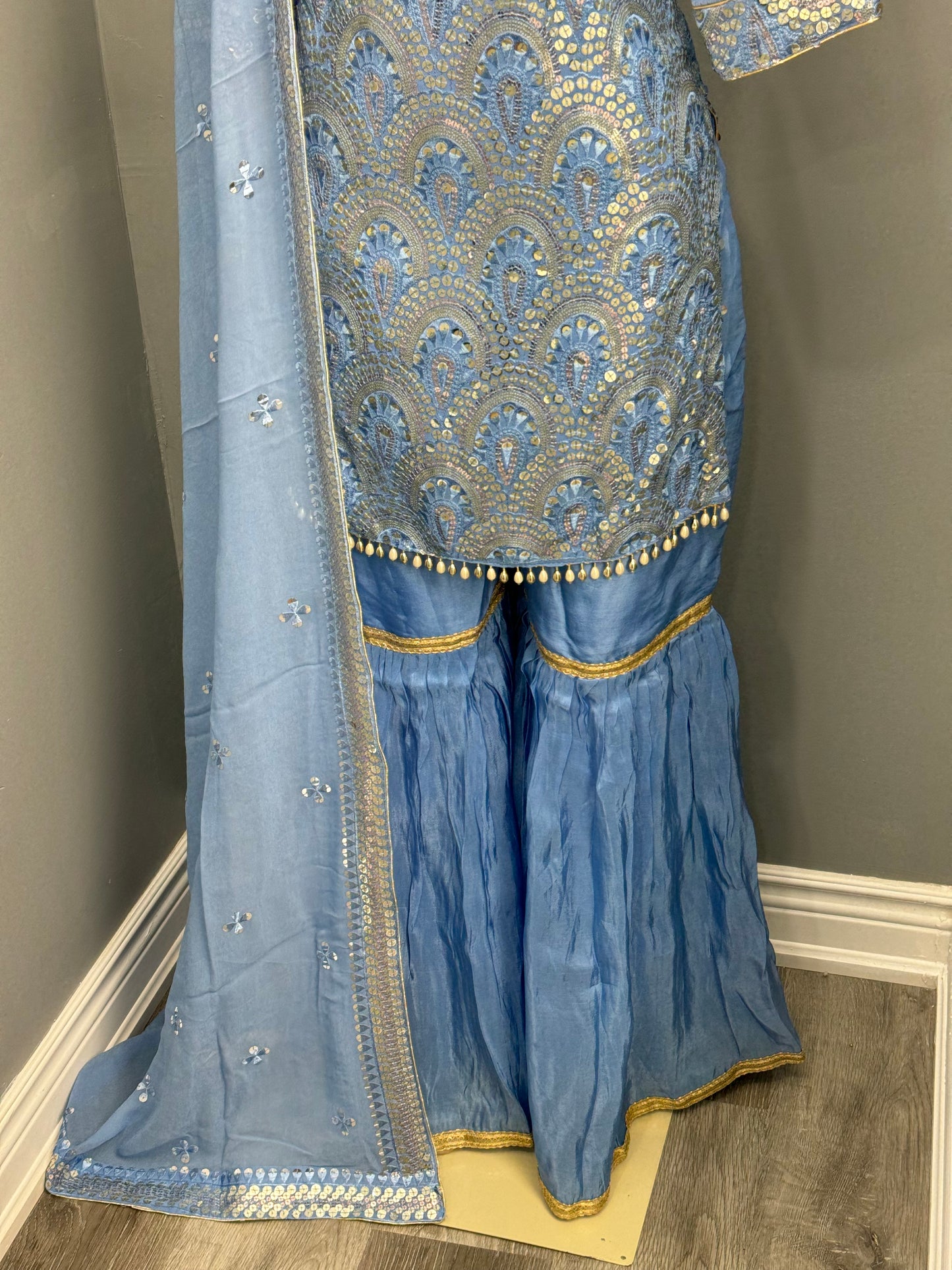 Tanisha Gharara Suit