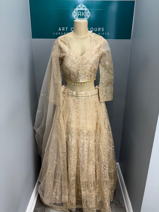 Embroidered Sequencework Lehenga- AK6974-3926