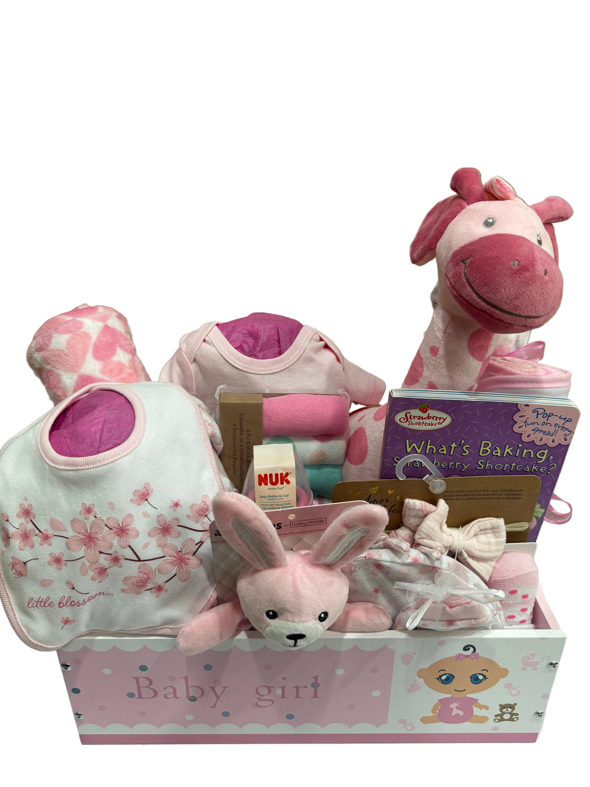 Little Blossom- Baby Girl Pink