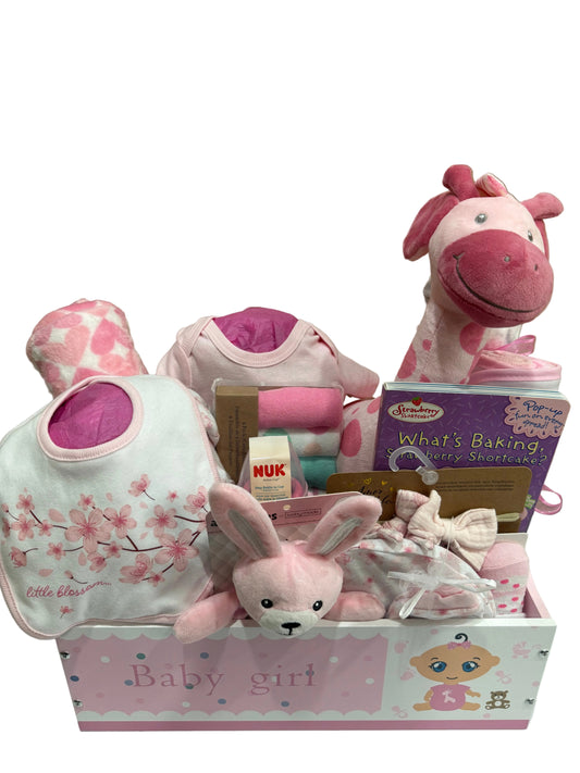 Little Blossom- Baby Girl Pink