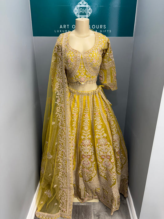 Embroidered Lehenga- AK1012-1026