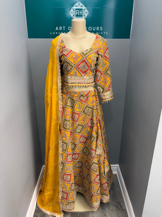 Positionwork Lehenga-AK6668-25