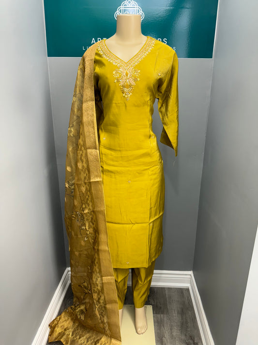 Plus Size Readymade Pant Suit- AK2428-09